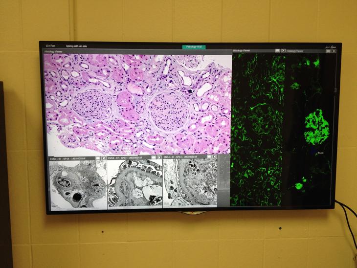 Histology Images on the SAGE environment