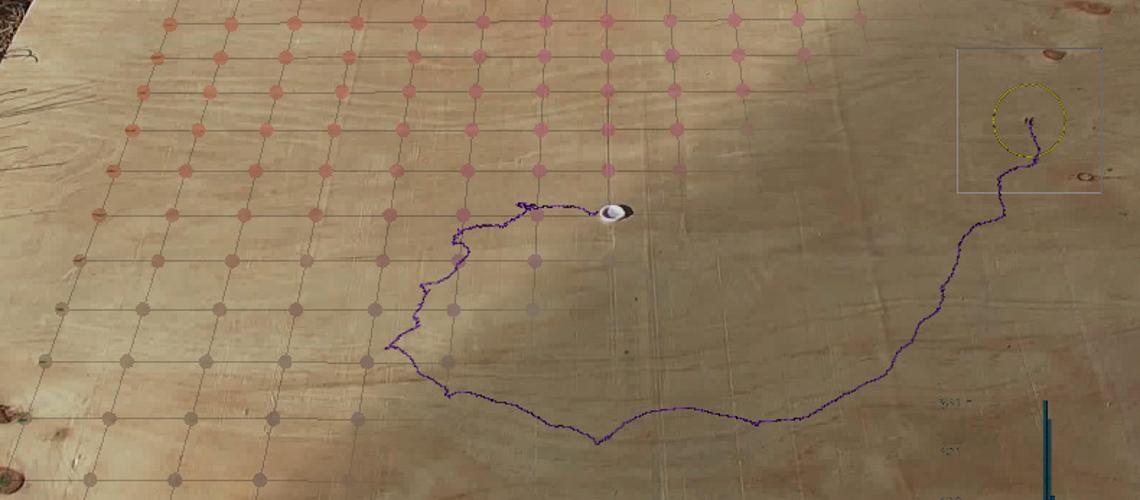  A human-computer collaborative workflow for the acquisition and analysis of terrestrial insect movement in behavioral field studies