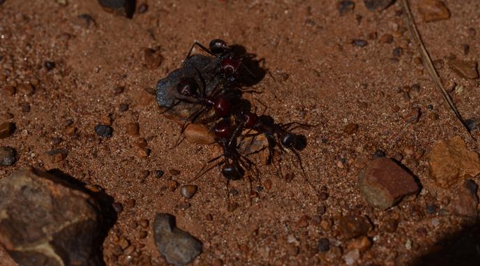 DSC_3873.jpg