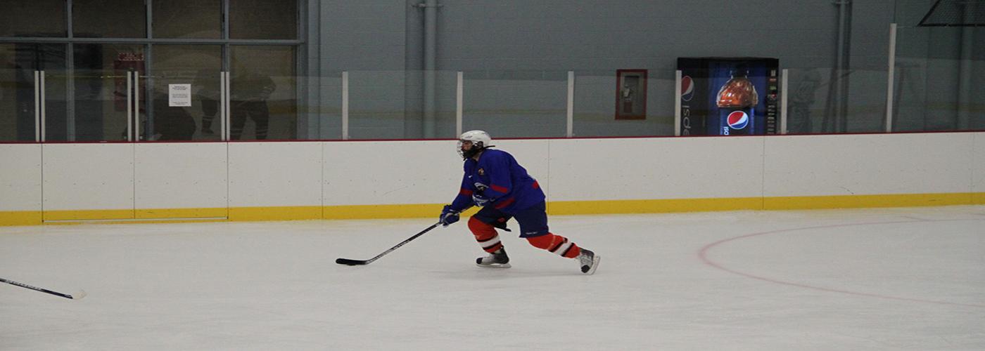 Ice Hockey Game