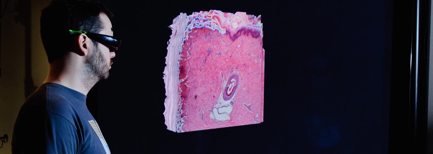 Immunohistochemical Evaluation of Bleeding Control Induced by Holmium Laser and Biolase Dental Laser As Coagulting Devices of Incisional Wounds