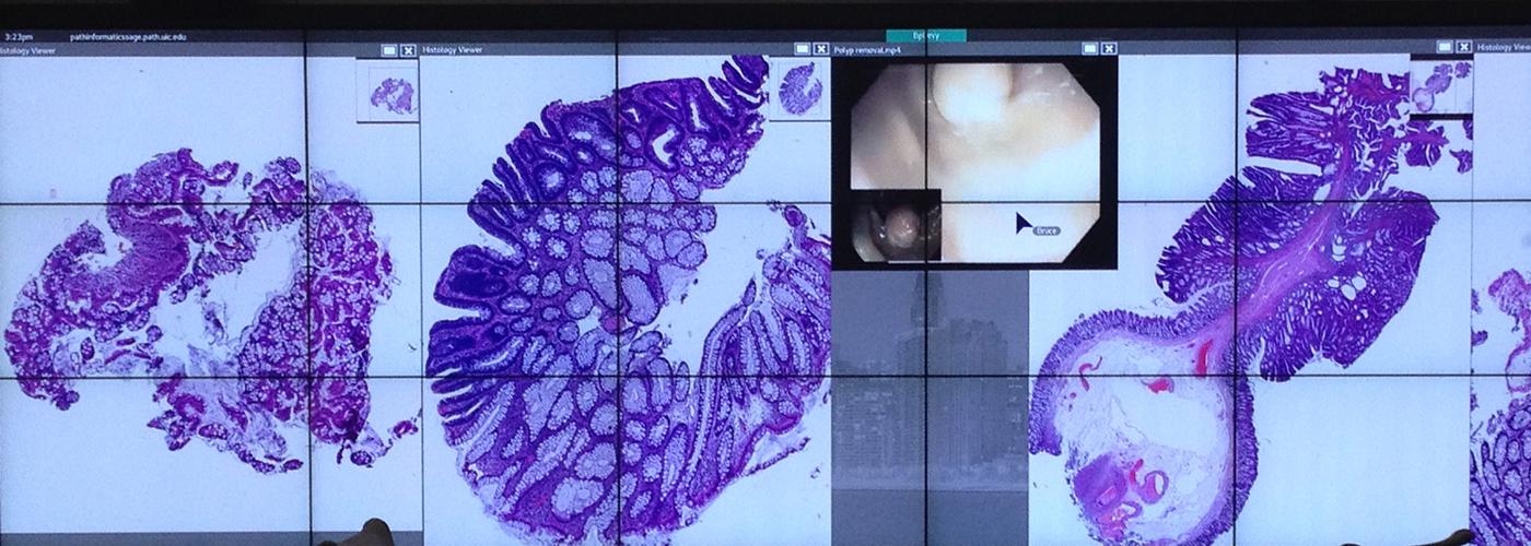 Scalable Adaptive Graphics Environment: A Novel Way to View and Manipulate Whole-Slide Images