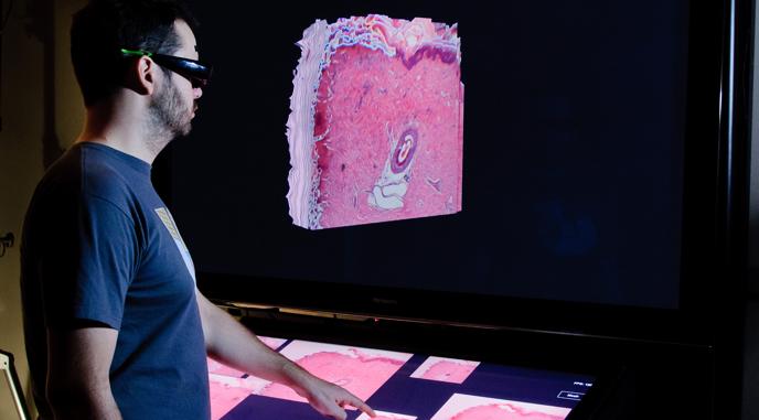 The OmegaDesk: towards a hybrid 2D and 3D work desk