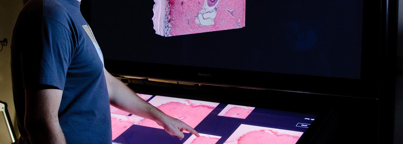 The OmegaDesk: towards a hybrid 2D and 3D work desk