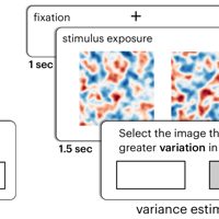 Science in a Blink: Supporting Ensemble Perception in Scalar Fields